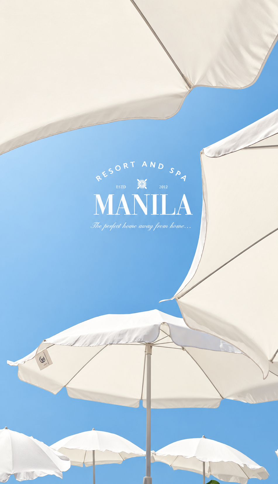 Featured logo design project by Zirexa Designs