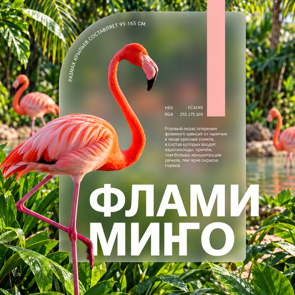 Bright pink flamingo in a tropical garden with a rounded information panel and coral colour swatch.